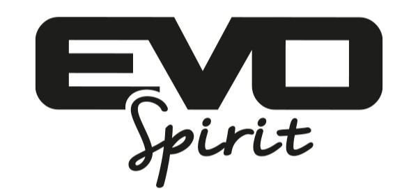EVO-Spirit - Marque française de skateboards électriques